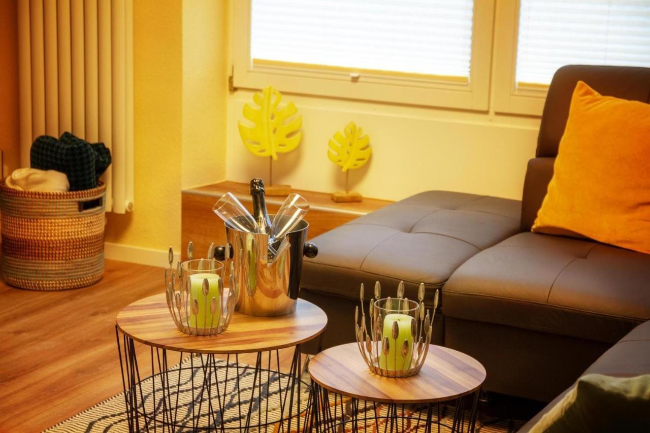 Appartement Saar-steg Sarrebourg